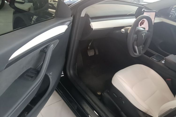 Tesla Model Y 2021 car image #16
