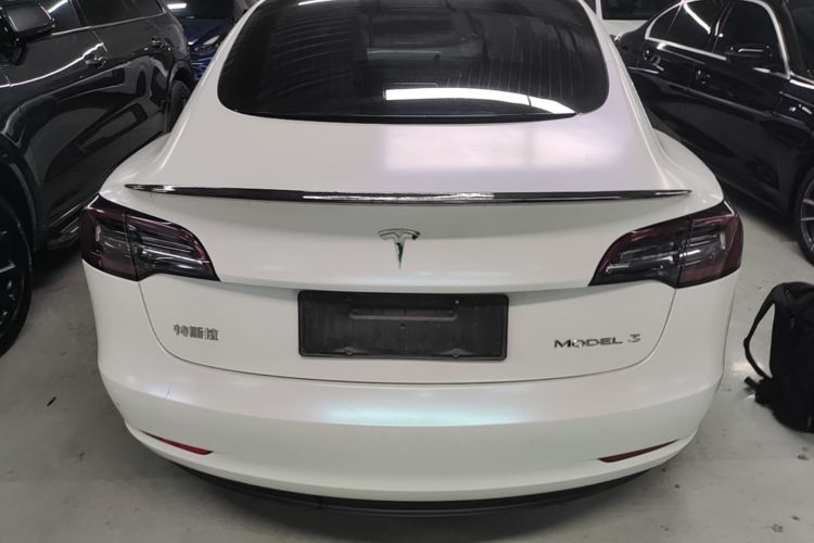Tesla Model 3 2020 car image #6