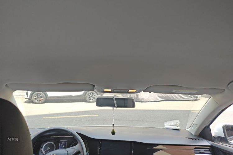 Volkswagen Bora 2020 car image #20