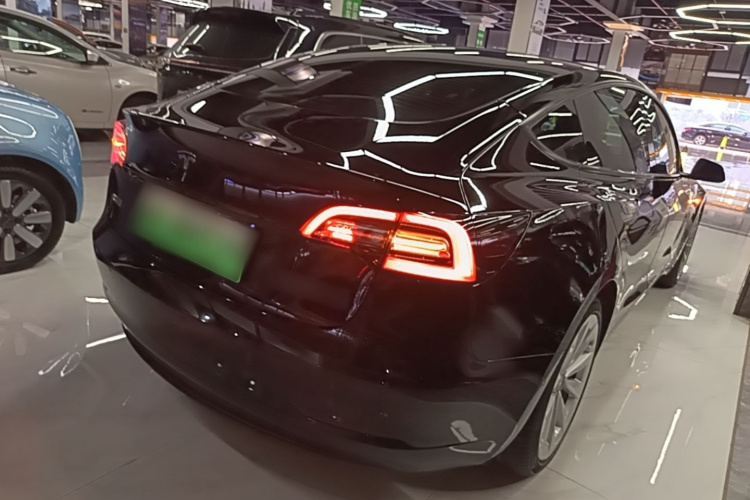 Tesla Model 3 2021 car image #5