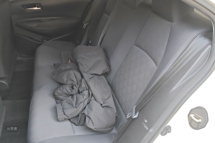 Toyota Corolla 2023 car image #19
