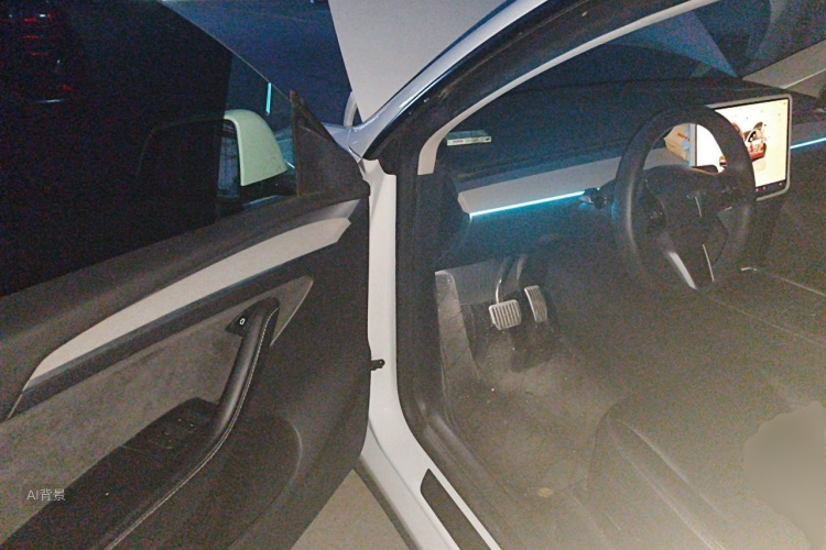 Tesla Model Y 2024 car image #18