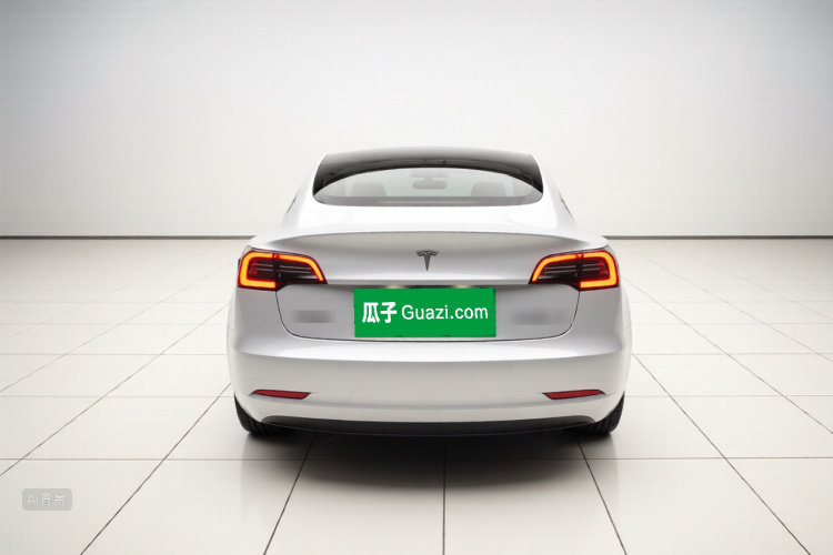 Tesla Model 3 2021 #6 Tesla Model 3 2021 car image #6