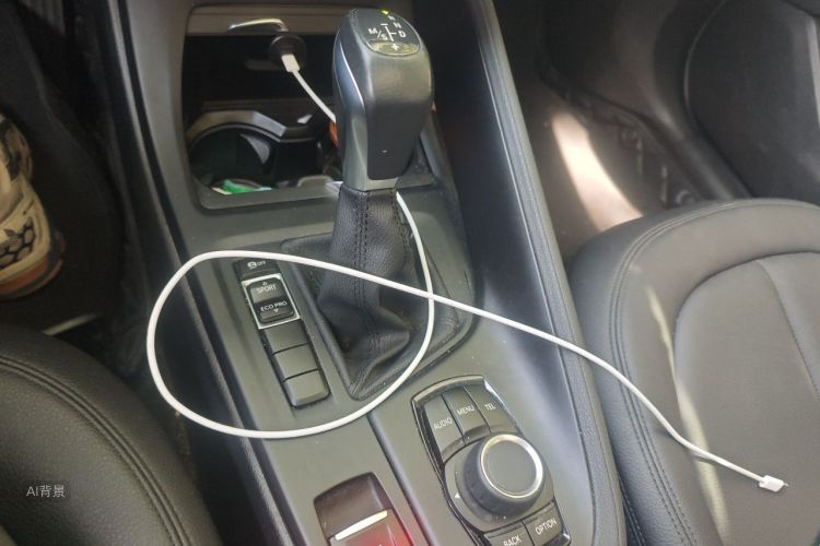 BMW X1 2017 car image #16