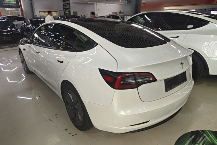 Tesla Model 3 2021 #5 Tesla Model 3 2021 immagine di auto #5