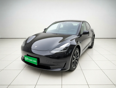 Tesla Model 3 2021 Tesla Model 3 2021 car image