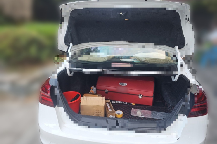 GEELY Emgrand 2020 car image #17