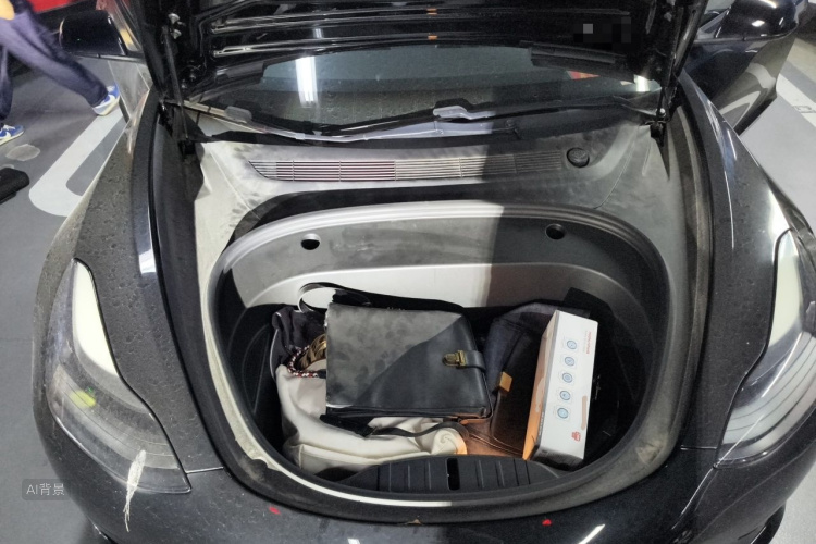 Tesla Model 3 2021 car image #22