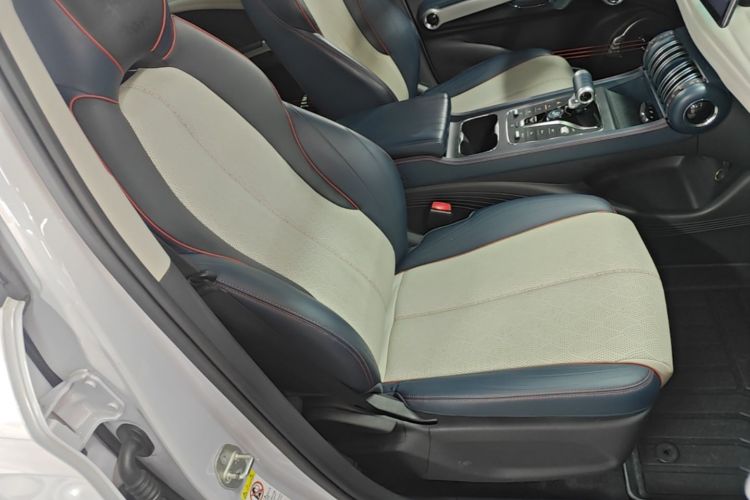 BYD Yuan Plus 2023 car image #24