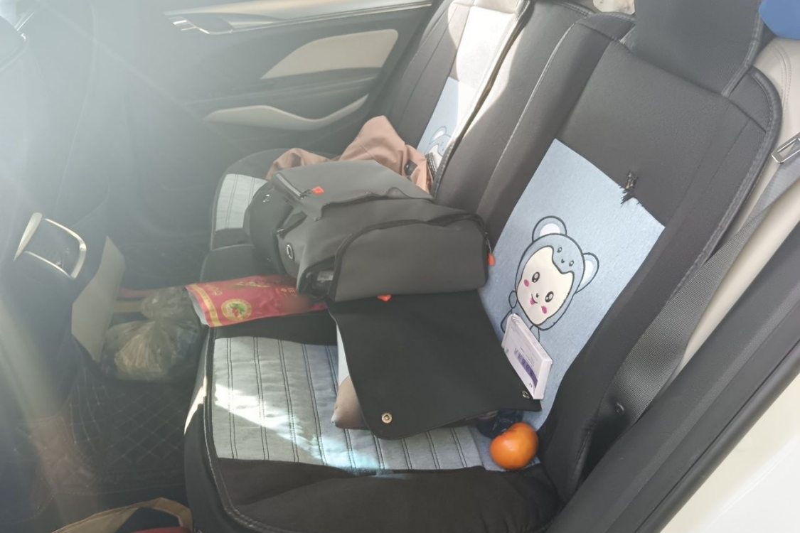 GEELY Binray 2018 imagen de coche #19