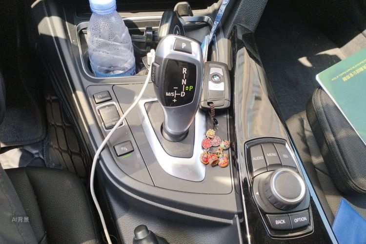 BMW 3 Series 2017 car image #16