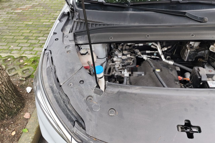 BYD Yuan Plus 2023 car image #24