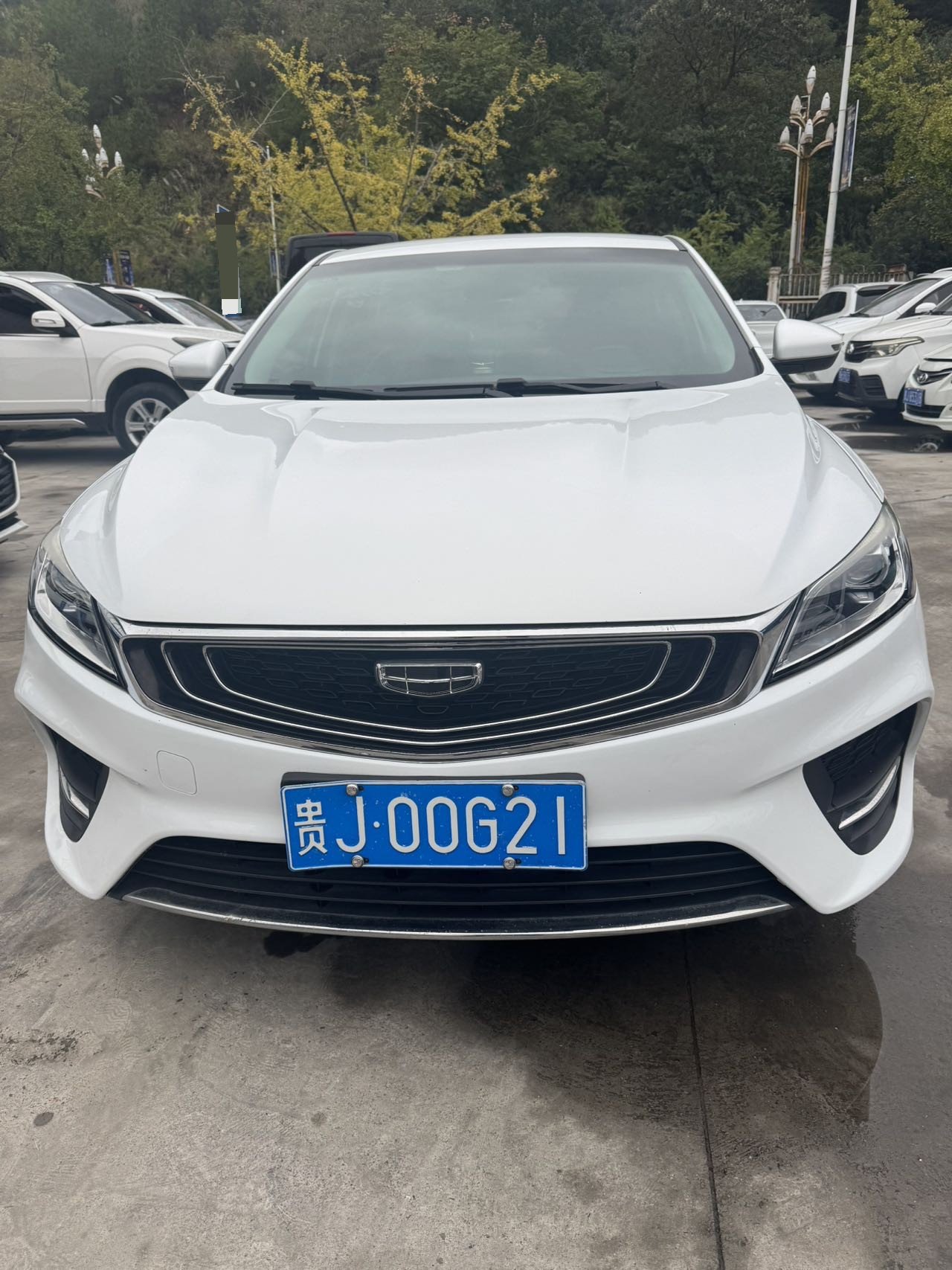 GEELY Binray 2020 immagine di auto #2