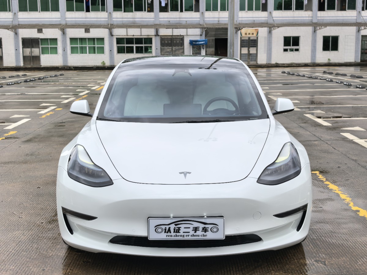 Tesla Model 3 2022 #2 Tesla Model 3 2022 car image #2