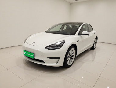Tesla Model 3 2022 Tesla Model 3 2022 immagine di auto