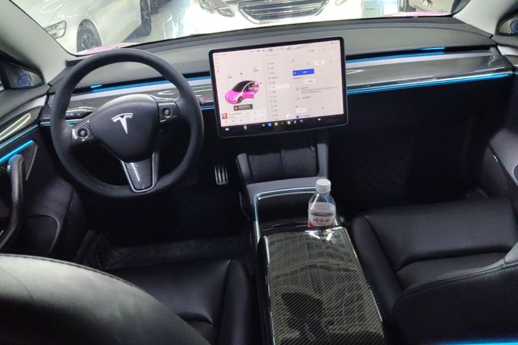 Tesla Model 3 2021 #10 Tesla Model 3 2021 car image #10