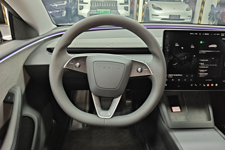 Tesla Model 3 2023 imagem de carro #11