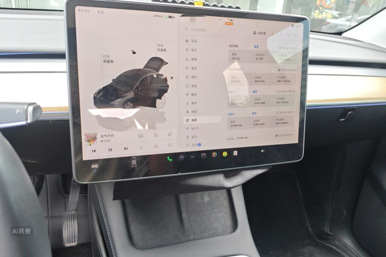 Tesla Model Y 2022 car image #15