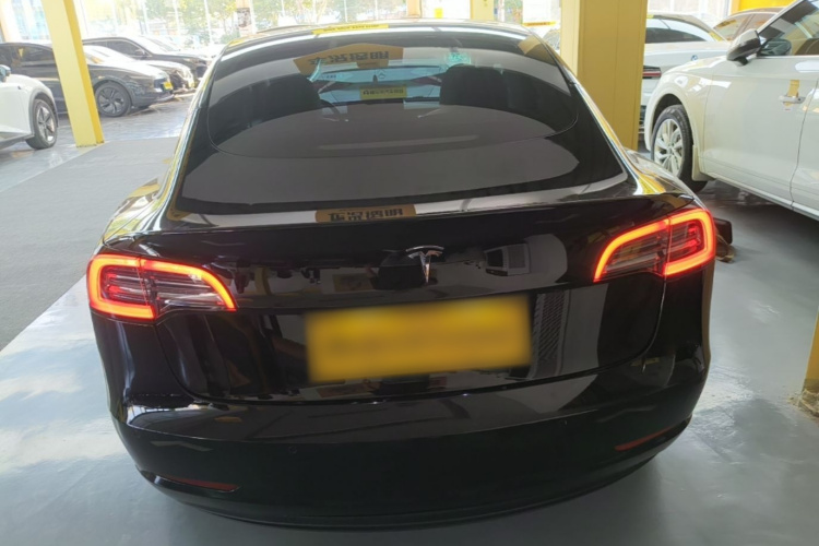 Tesla Model 3 2023 #6 Tesla Model 3 2023 car image #6