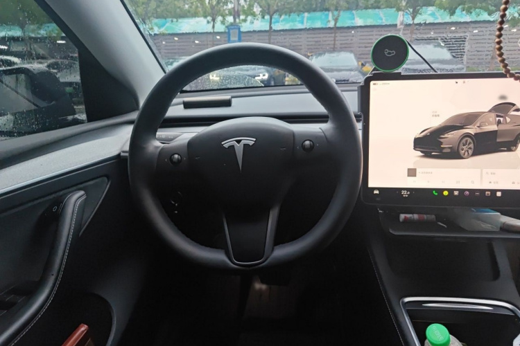 Tesla Model Y 2024 car image #15