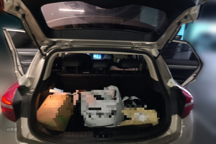 GEELY Emgrand GS 2016 car image #21