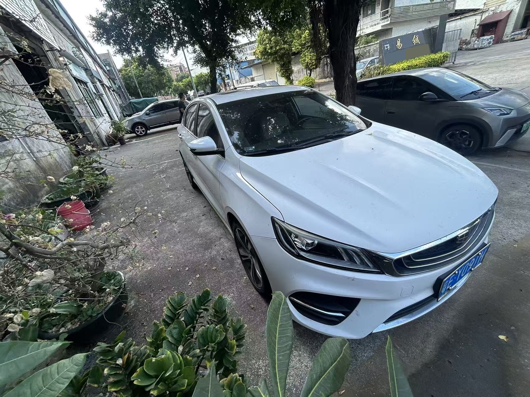 GEELY Binray 2019 imagen de coche #9