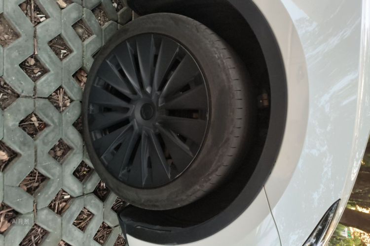 Tesla Model Y 2023 #9 Tesla Model Y 2023 car image #9