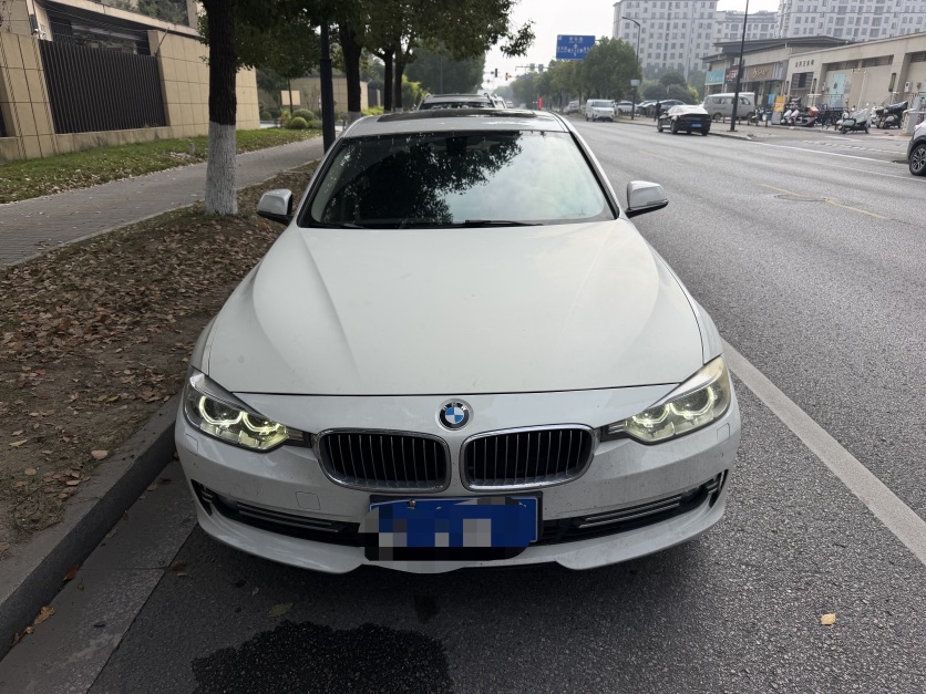 BMW 3 Series 2013 imagen de coche 