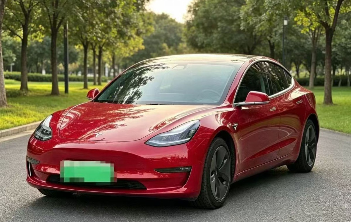Tesla Model 3 (Imported) 2019 car image 