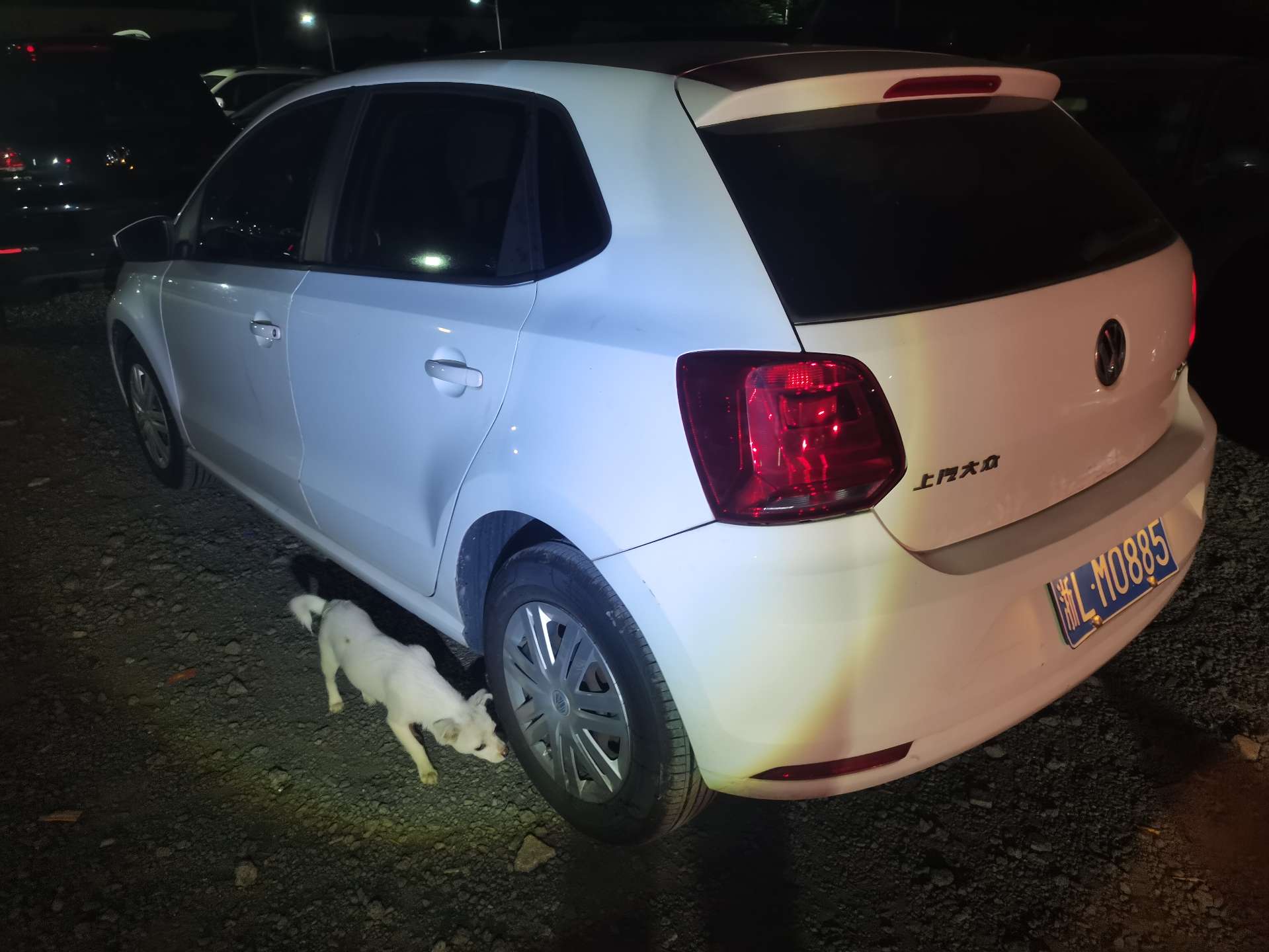 Volkswagen Polo 2016 #7 Volkswagen Polo 2016 صورة سيارة #7