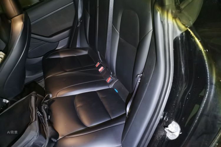 Tesla Model 3 2020 car image #19