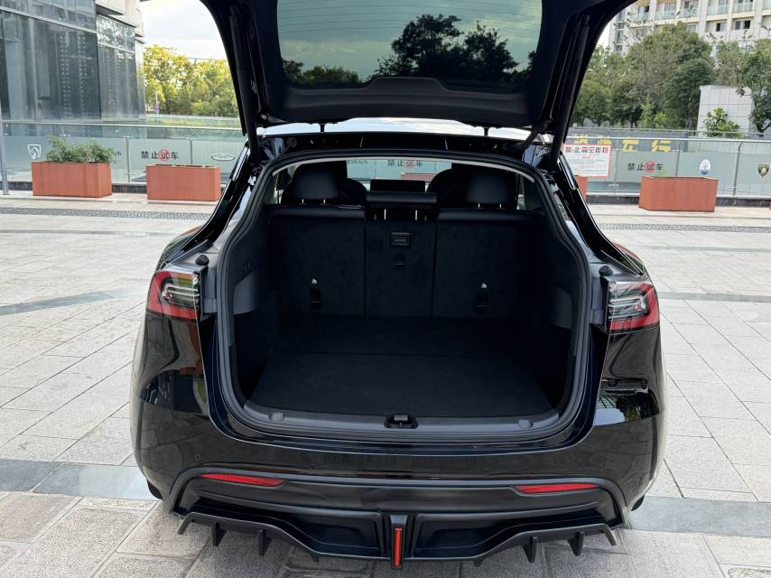 Tesla Model Y 2023 car image #10