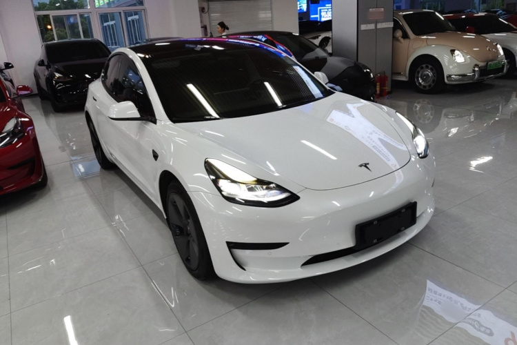 Tesla Model 3 2022 immagine di auto #4