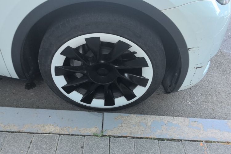 Tesla Model Y 2021 #6 Tesla Model Y 2021 car image #6