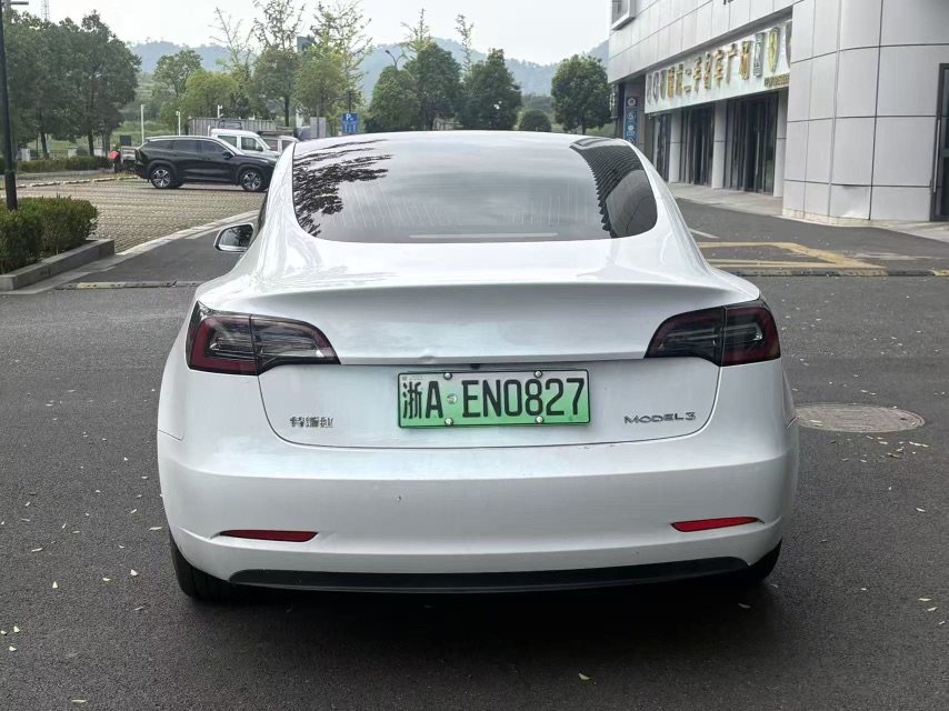 Tesla Model 3 2020 #4 Tesla Model 3 2020 car image #4