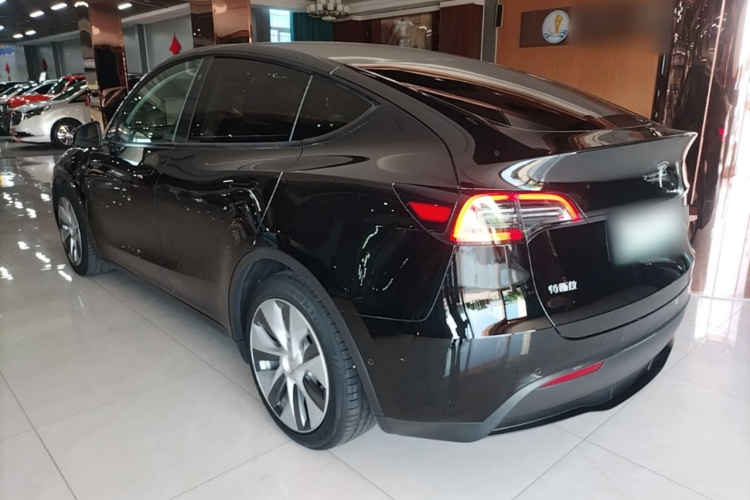 Tesla Model Y 2021 #5 Tesla Model Y 2021 car image #5