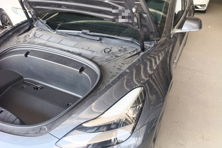 Tesla Model 3 2020 car image #24