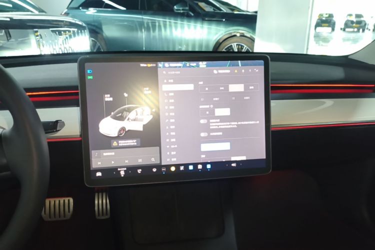 Tesla Model 3 2021 car image #17