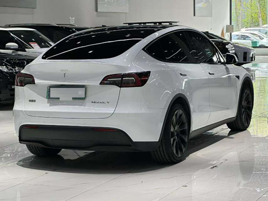 Tesla Model Y 2023 #8 Tesla Model Y 2023 car image #8