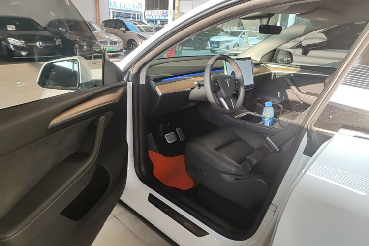 Tesla Model Y 2021 car image #16