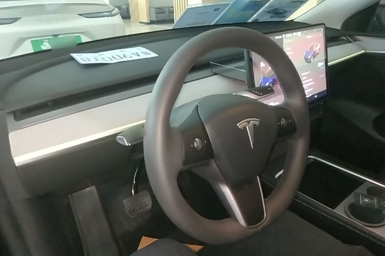 Tesla Model Y 2024 car image #10