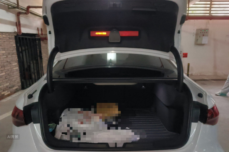 奥迪 奥迪A3 2025 汽车图片 #21