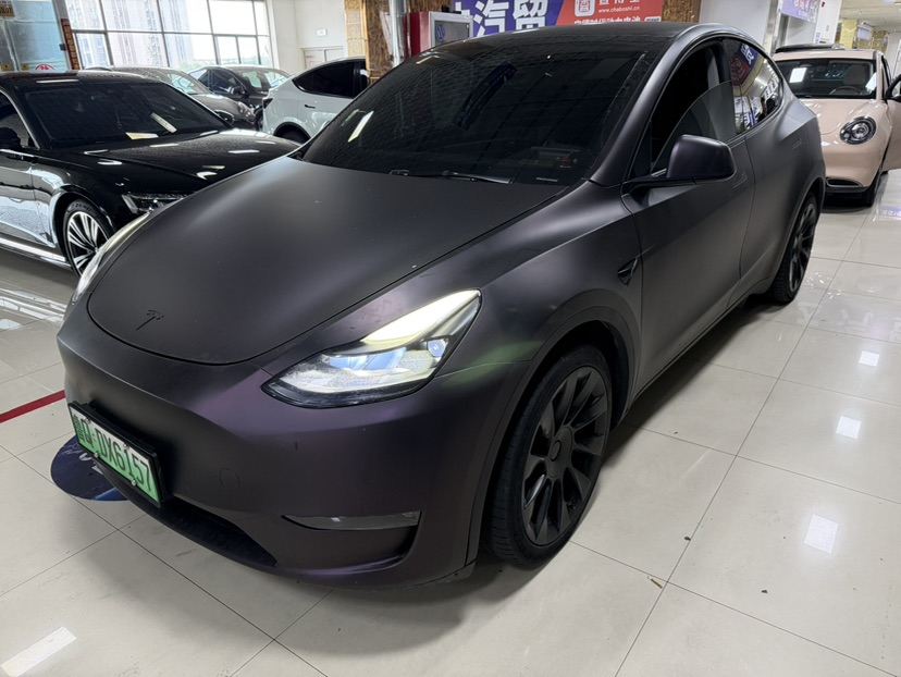 Tesla Model Y 2021 Tesla Model Y 2021 car image