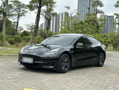 Tesla Model 3 2023 car image 