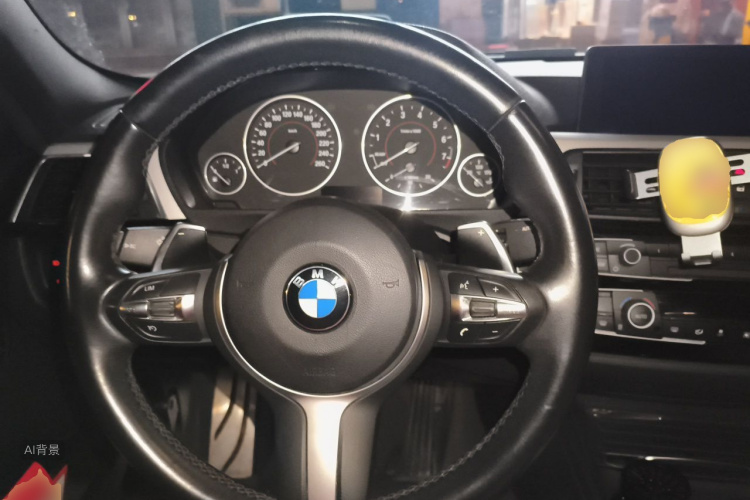 BMW 3 Series 2017 immagine di auto #12