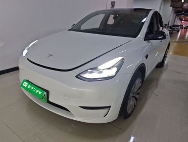 Tesla Model Y 2021 Tesla Model Y 2021 car image