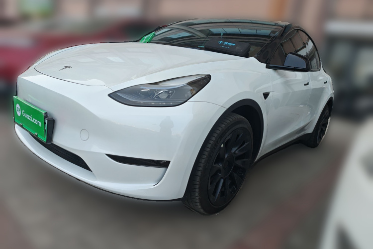 Tesla Model Y 2024 car image #2