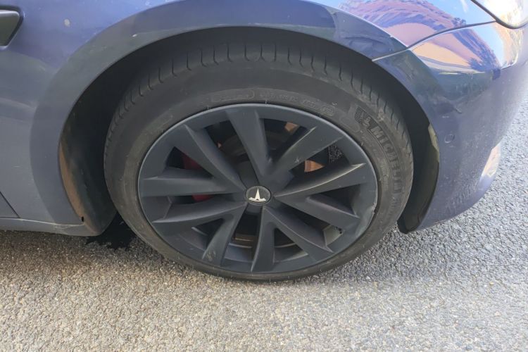 Tesla Model 3 2021 car image #6