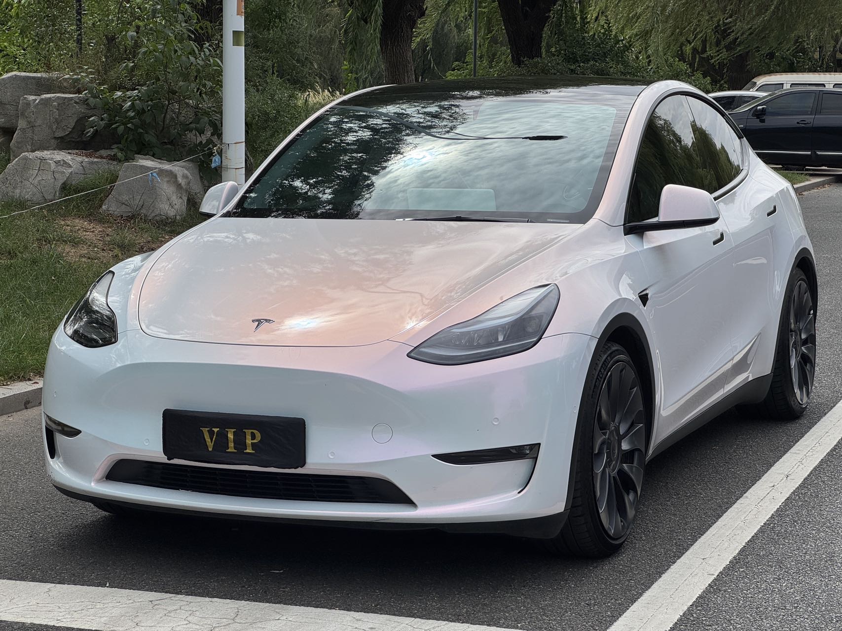Tesla Model Y 2022 car image 