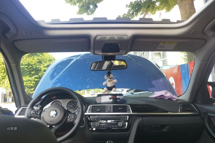 BMW 3 Series 2017 car image #20